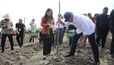 Wakil Menteri Pertanian (Wamentan), Sudaryono. (Dok. Kementerian Pertanian)
