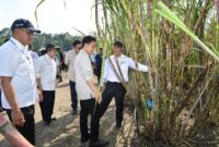 Wakil Presiden Gibran Rakabuming Raka menyampaikan mandat Presiden untuk membereskan persoalan klasik pertanian seperti pupuk, harga, hingga praktik mafia pangan. (Dok. Biro Komunikasi dan Layanan Informasi, Kementerian Pertanian)